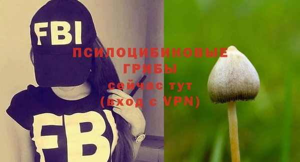 марки nbome Дмитриев
