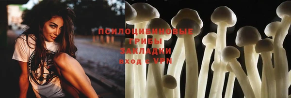 героин Ельня