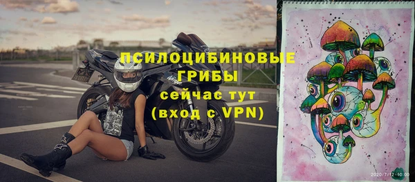 эйфоретик Дмитровск