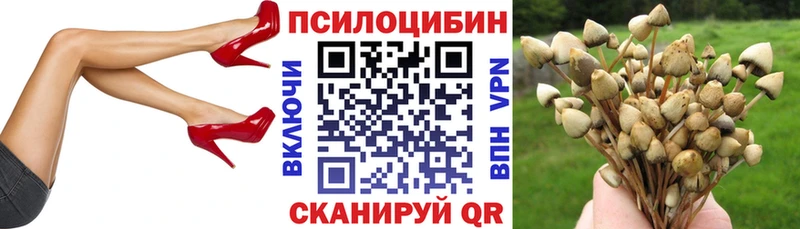 Галлюциногенные грибы прущие грибы  купить закладку  Заполярный 